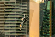 NEWS - Brisbane: Waghalsige Flugshow zwischen Hochhäusern