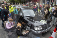 Extinction Rebellion activists in London, Great Britain 
7th October 2019 

On Westminster Bridge and Trafalgar Square, London.