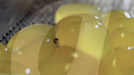 FEATURE - Whisky-Trinken ohne Glas
