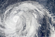 Rugby World Cup chaos as England-France and New Zealand-Italy games canceled due to Super Typhoon Hagibis