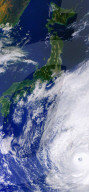 Typhoon Hagibis