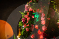 FEATURE - Leeds Light Night: Ein farbenfrohes Spektakel in der Metropolregion