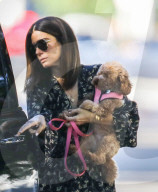 PREMIUM EXCLUSIVE Sandra Bullock Takes Her Four-Legged Friend To The Park