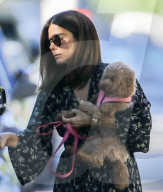 PREMIUM EXCLUSIVE Sandra Bullock Takes Her Four-Legged Friend To The Park