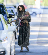 PREMIUM EXCLUSIVE Sandra Bullock Takes Her Four-Legged Friend To The Park