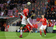 FUSSBALL - EM 2020: Schweiz gegen Irland in Genf