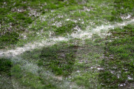 FUSSBALL - EM 2020: Schweiz gegen Irland in Genf
