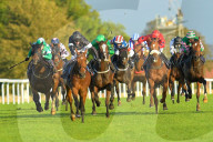 Season Finale, Horse Racing, Bath Racecourse, United Kingdom - 16 Oct 2019