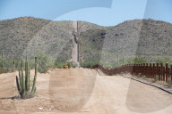 NEWS - Kaktusse werden wegen Bau der Trump-Mauer zu Mexico umgepflanzt