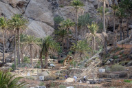 PEOPLE -  Kulissenaufbau zu den Dreharbeiten eines Marvel Films auf Fuertaventura