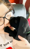 FEATURE - Jetzt schlägts aber 13: Labradorhündin bringt 13 Welpen zur Welt