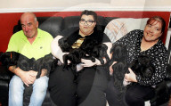 FEATURE - Jetzt schlägts aber 13: Labradorhündin bringt 13 Welpen zur Welt