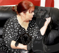 FEATURE - Jetzt schlägts aber 13: Labradorhündin bringt 13 Welpen zur Welt