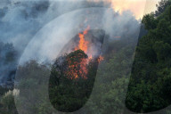 NEWS - California Burning: Die Feuerwehr im Kampf gegen die Buschbrände bei Los Angeles
