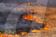 NEWS - Kalifornien: Brände in Simi Valley