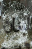 NEWS - Libanon: Protest-Graffitis in Beirut