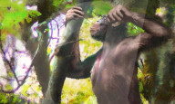 NEWS - Evolutionsforscher entdecken Skelett einer aufrechtgehenden Primatenart
