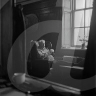 Mono Negative