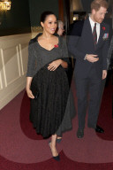 PEOPLE - Die britischen Royals am Royal British Legion Festival of Remembrance in der Royal Albert Hall
