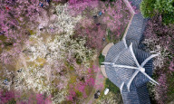NEWS - News-Bilder des Jahres 2019