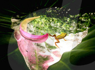 NEWS - News-Bilder des Jahres 2019