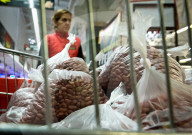 Russia: Plastic bags