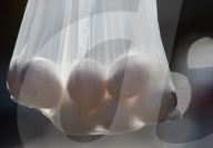 Russia: Plastic bags