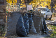 Russia: Plastic bags