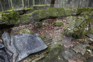 NEWS - Hitlers "Wolfsschanze" in Polen wird restauriert