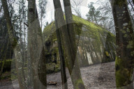 NEWS - Hitlers "Wolfsschanze" in Polen wird restauriert