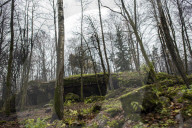 NEWS - Hitlers "Wolfsschanze" in Polen wird restauriert