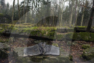NEWS - Hitlers "Wolfsschanze" in Polen wird restauriert