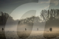 FEATURE - Frühsport bei herbstlicher Morgenstimmung in Cambridge