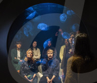Rimini Protokoll tank of live jellyfish installation at the Royal Academy of Arts, London.
UK debut of the immersive installation win > < win(2017), featuring a tank of live jellyfish, by artist collective Rimini Protokoll,