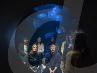 Rimini Protokoll tank of live jellyfish installation at the Royal Academy of Arts, London.
UK debut of the immersive installation win > < win(2017), featuring a tank of live jellyfish, by artist collective Rimini Protokoll,