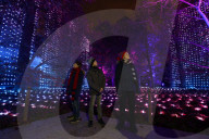 FEATURE -  Christmas at Kew: Die Royal Botanic Gardens erstrahlen im weihnachtlichen Glanz