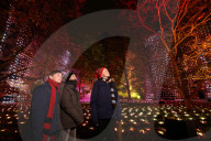 FEATURE -  Christmas at Kew: Die Royal Botanic Gardens erstrahlen im weihnachtlichen Glanz