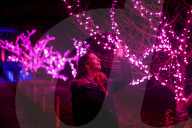 FEATURE -  Christmas at Kew: Die Royal Botanic Gardens erstrahlen im weihnachtlichen Glanz
