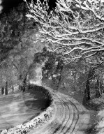 Mono Print