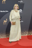 BAMBI 2019