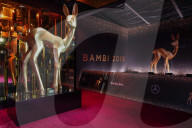 Red Carpet Arrivals - Bambi Awards 2019