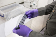 British American Tobacco shares moved higher after the US government made a U-turn on its plans to slash the level of nicotine in cigarettes.