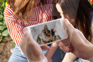 FEATURE - Dank Roboter-Spielzeug mit der Katze immer per Video verbunden