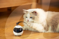FEATURE - Dank Roboter-Spielzeug mit der Katze immer per Video verbunden