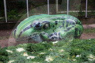 FEATURE - 3D-Bilder auf Steinen an Expo in Nantong