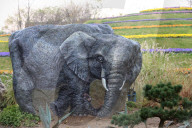 FEATURE - 3D-Bilder auf Steinen an Expo in Nantong