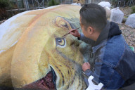 FEATURE - 3D-Bilder auf Steinen an Expo in Nantong