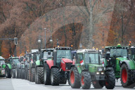 NEWS - Bauernprotest in Berlin