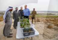 PEOPLE - Prinz William besucht Jahra Naturpark in Kuwait