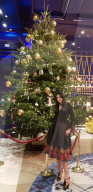 FEATURE - Der wohl am teuersten dekorierte Christbaum steht in Marbella